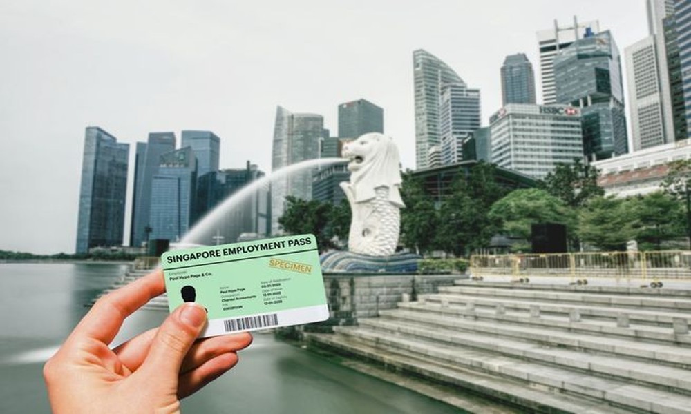 EntrePass vs Employment Pass Singapore - Midtn Biz